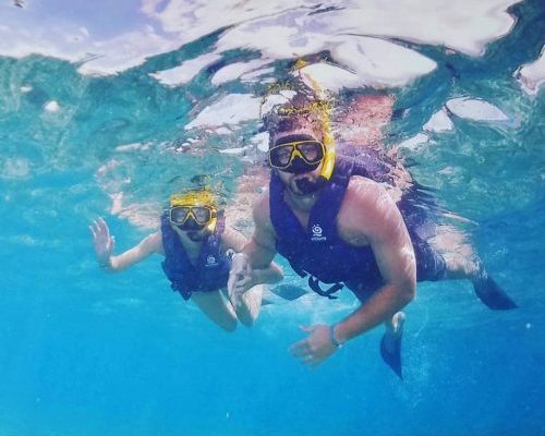 An image of people scuba diving.