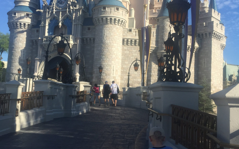 IMG_4709 An image of children running to the Disney castle.