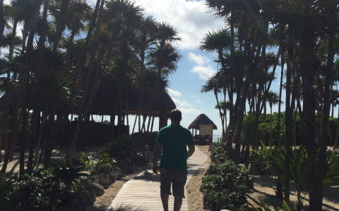 An image of a board walk.